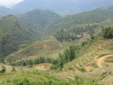 sapa